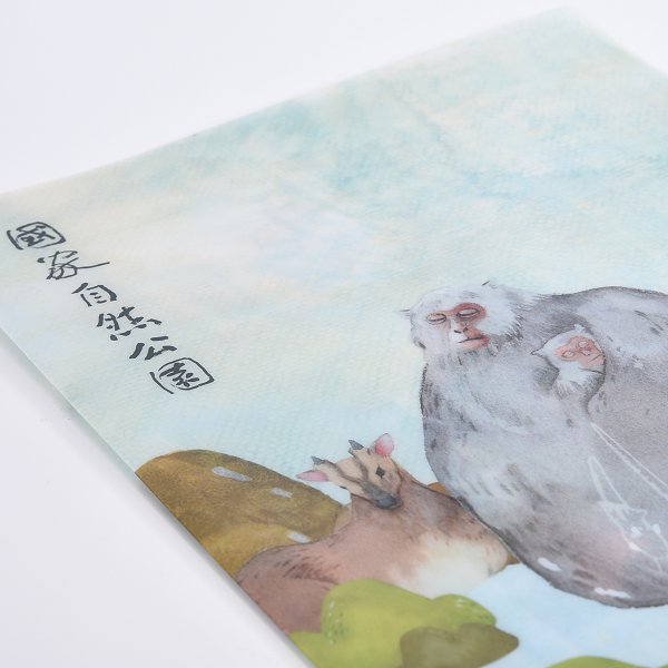 A4單層L夾-彩色印刷全白墨-PP材質L型資料夾-台積電