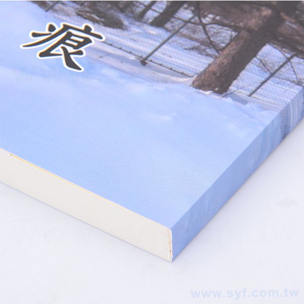 250P銅西單面彩色印刷上霧膜