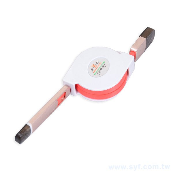 二合一可伸縮傳