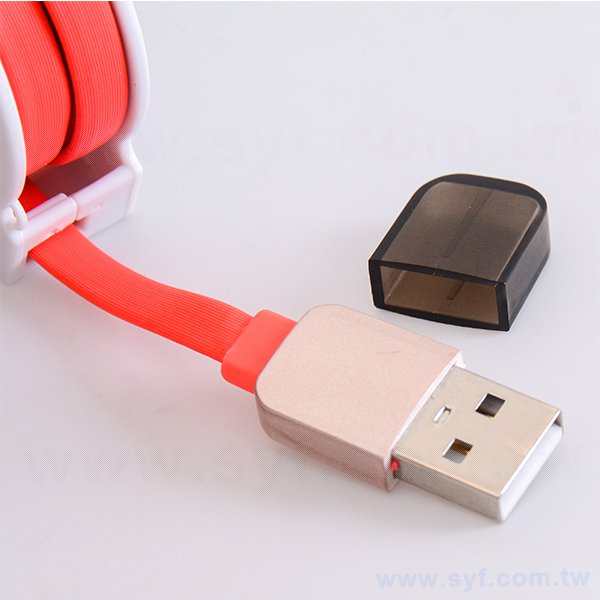 二合一可伸縮傳