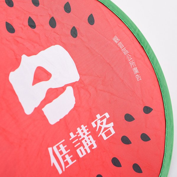 飛盤扇