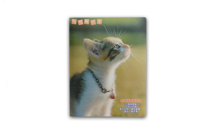 活頁夾_檔案夾_資料夾