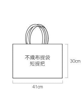 廣告行銷客製化-不織布環保袋-41x30cm-單面彩色印刷