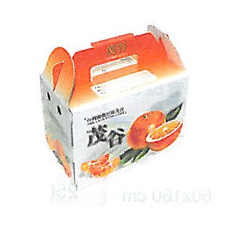 客製化多功能包裝紙箱-手提禮盒a-30x18x21.5cm