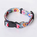 小型寵物項圈