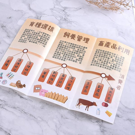 A4雙銅摺紙DM