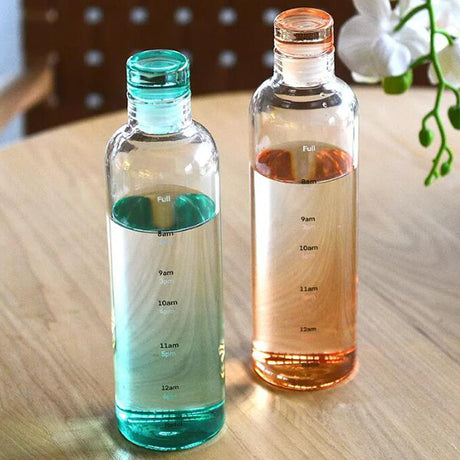 500ml玻璃瓶蓋環保水瓶