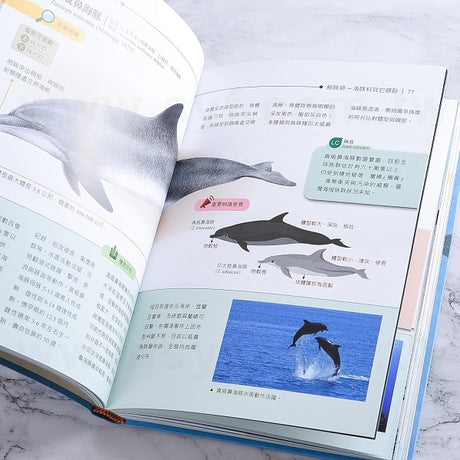 圓背軟皮精裝書