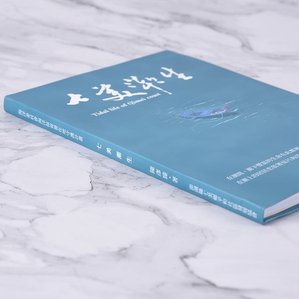 A5軟皮精裝書籍印刷