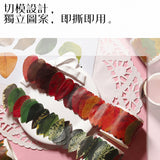 單片型紙膠帶