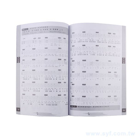 250P銅西吉他訓練手冊