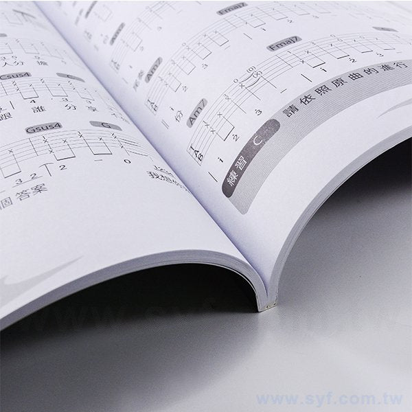 250P銅西吉他訓練手冊