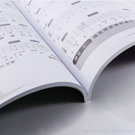 250P銅西吉他訓練手冊
