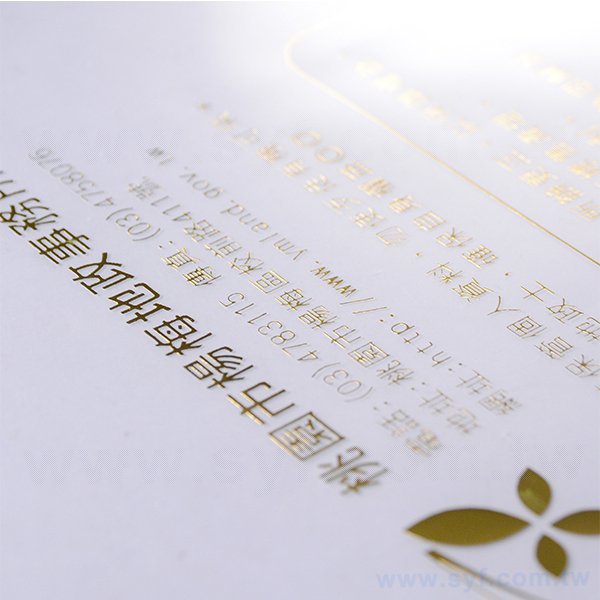 A4單層透明L夾