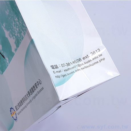 150P銅西紙袋